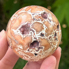 Агат Крейзи Лейс 