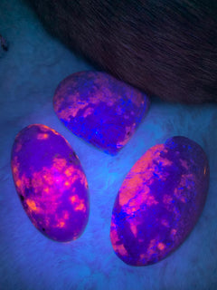 Uv реактивен 