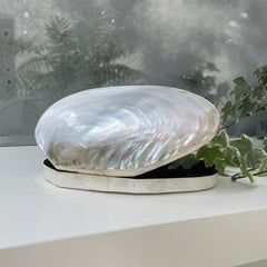 Седеф